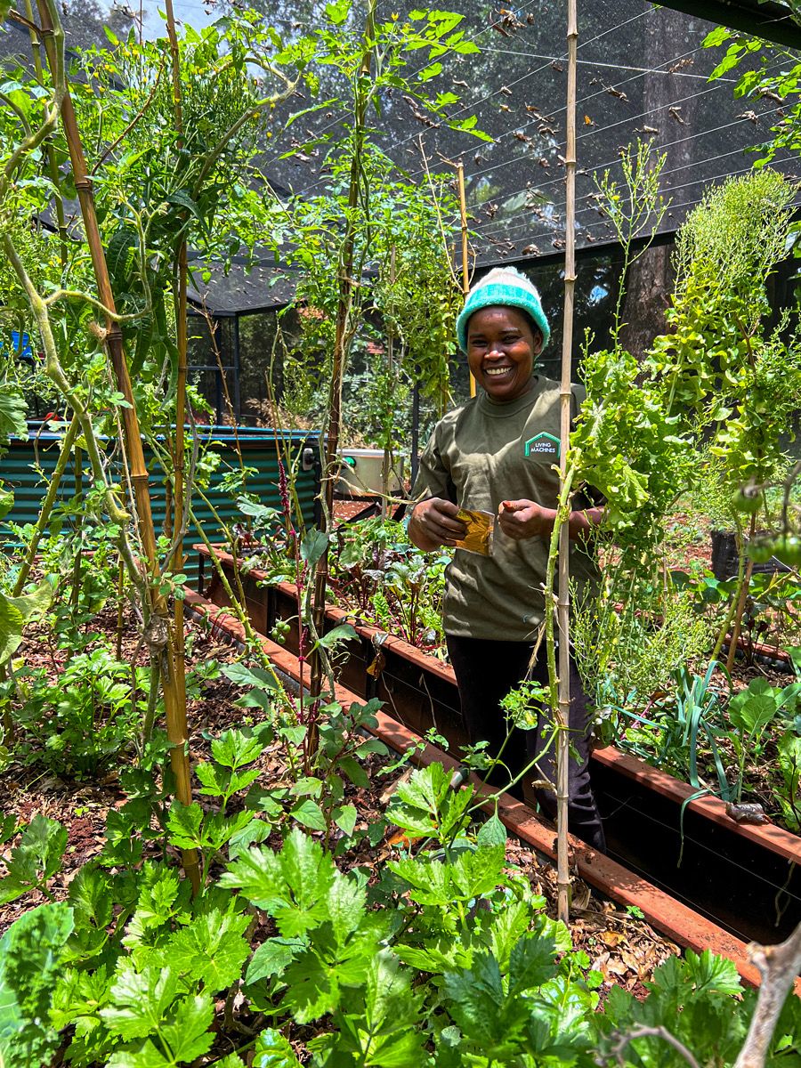 Turnkey Growhouse Solutions