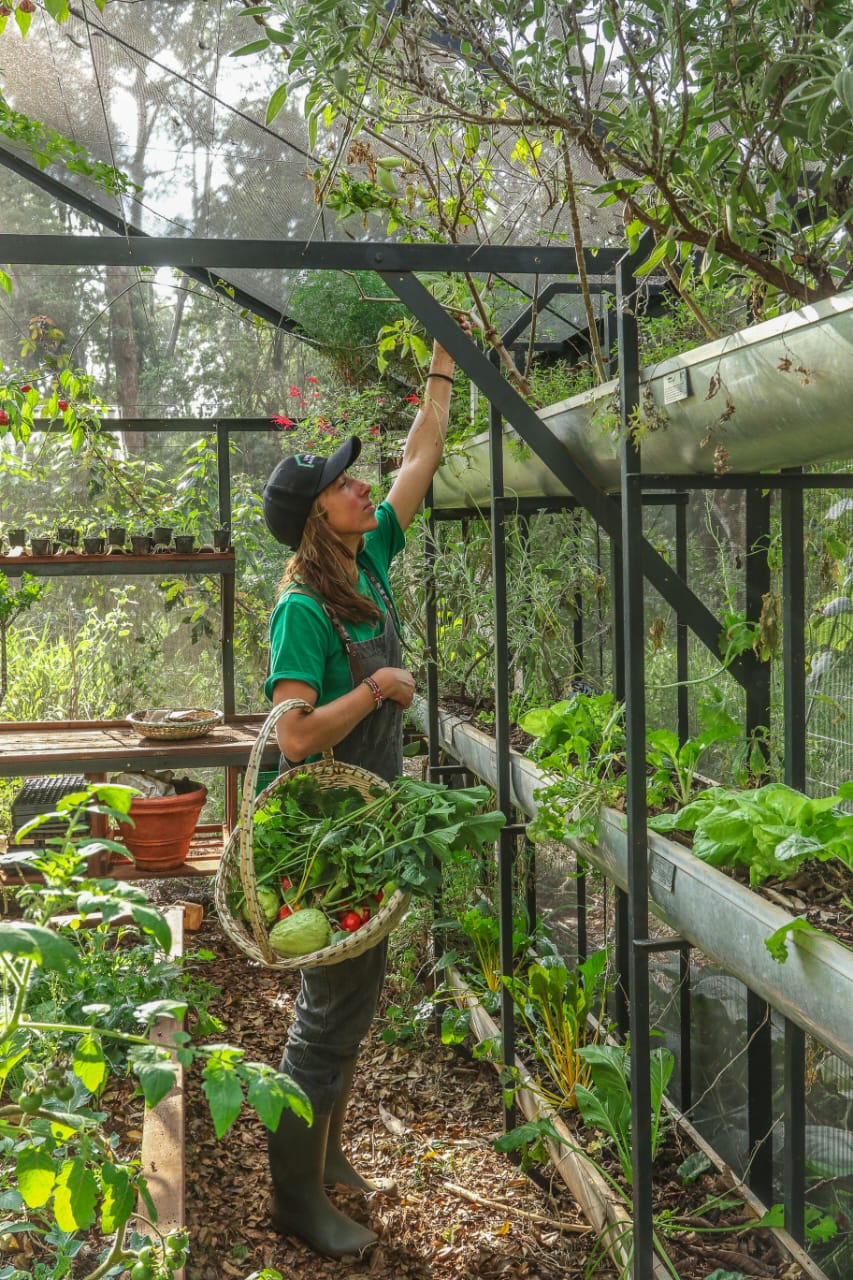 Choose Your Growhouse Size