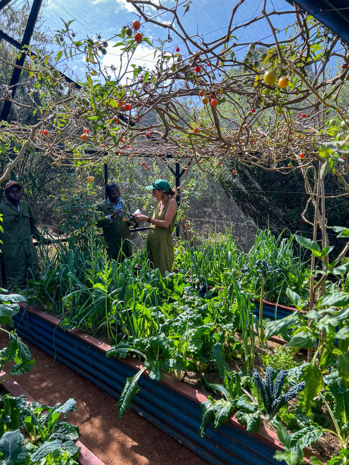Our Staff Working At The Growhouse
