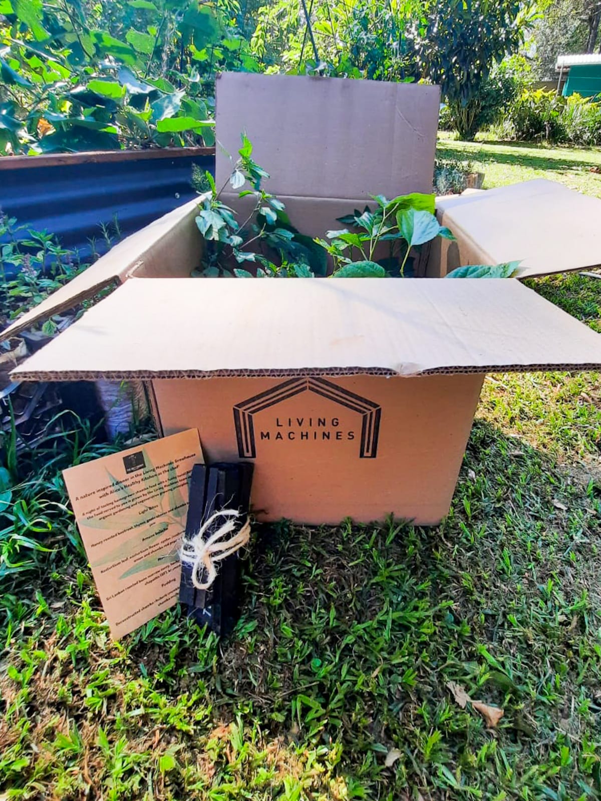 Whatsapp Image 2021 12 11 At 2.47.49 Pm