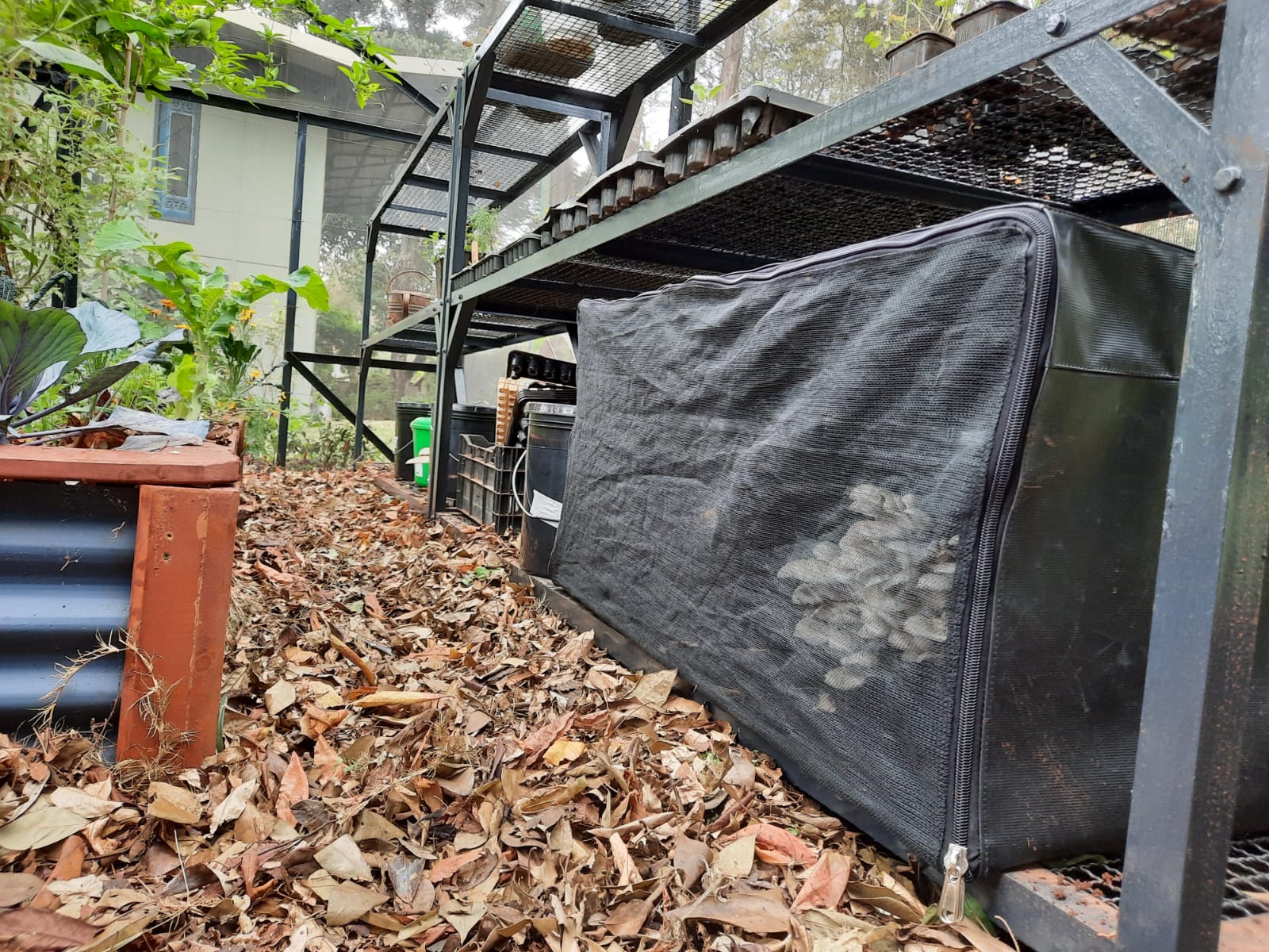 Whatsapp Image 2021 12 16 At 8.21.47 Am