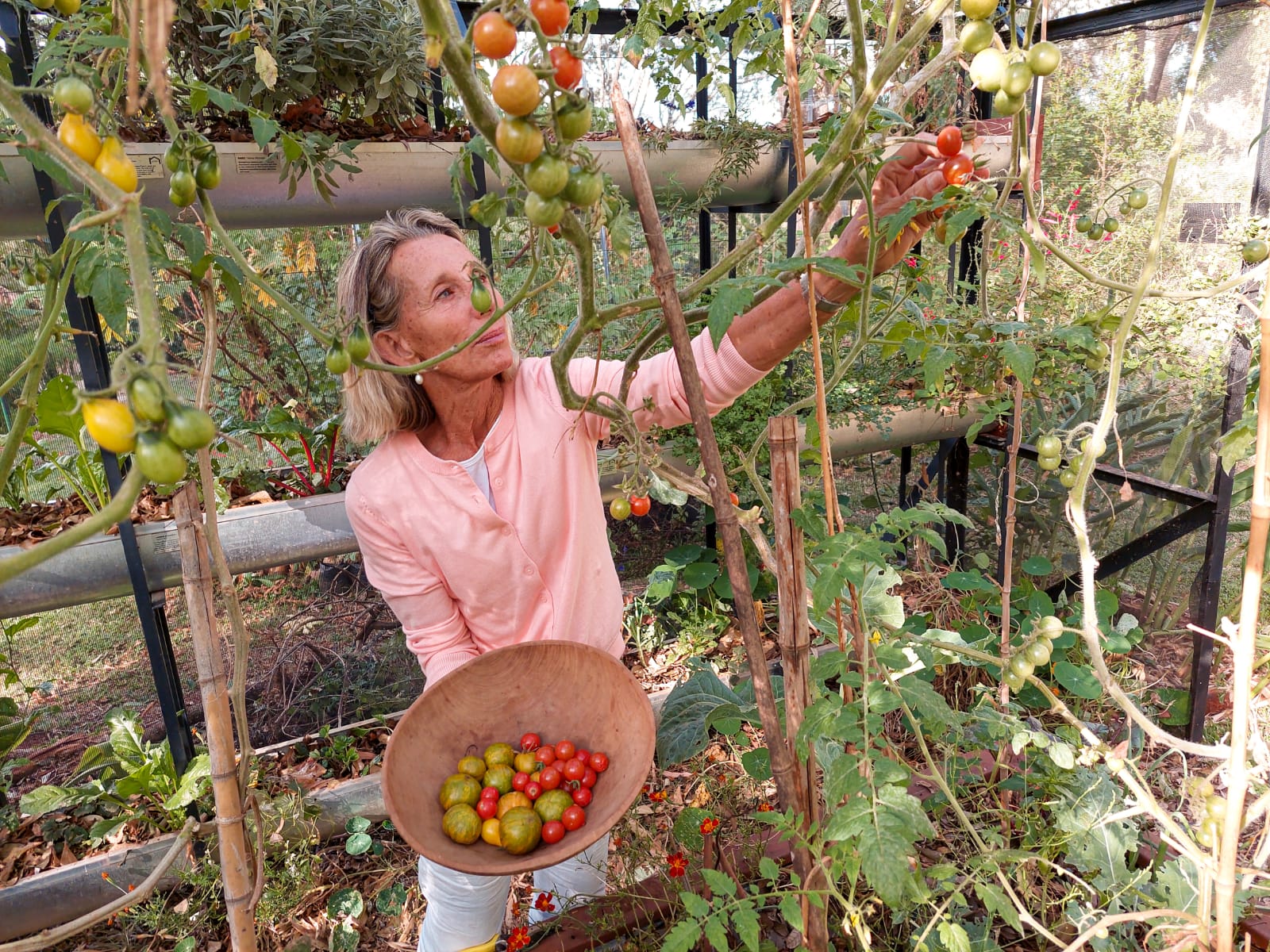 Whatsapp Image 2022 04 26 At 8.46.54 Am (1)