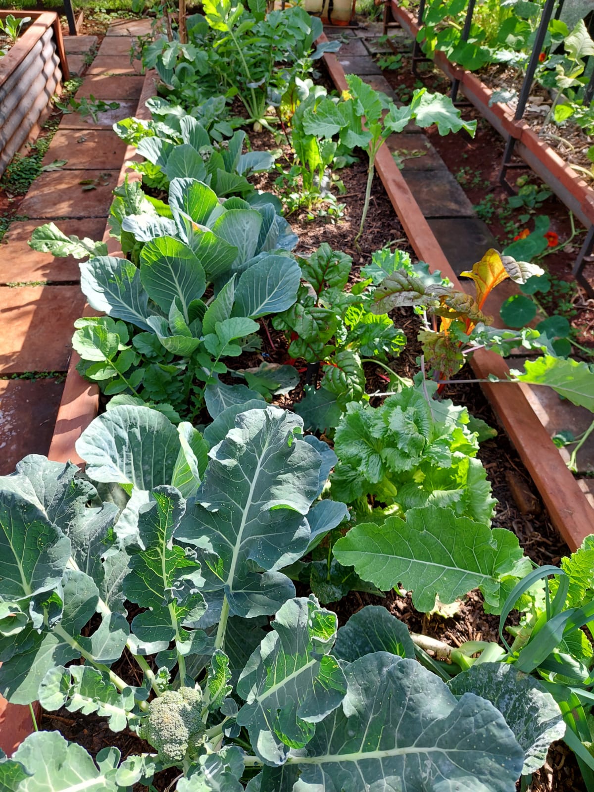 Whatsapp Image 2022 07 04 At 3.56.30 Pm