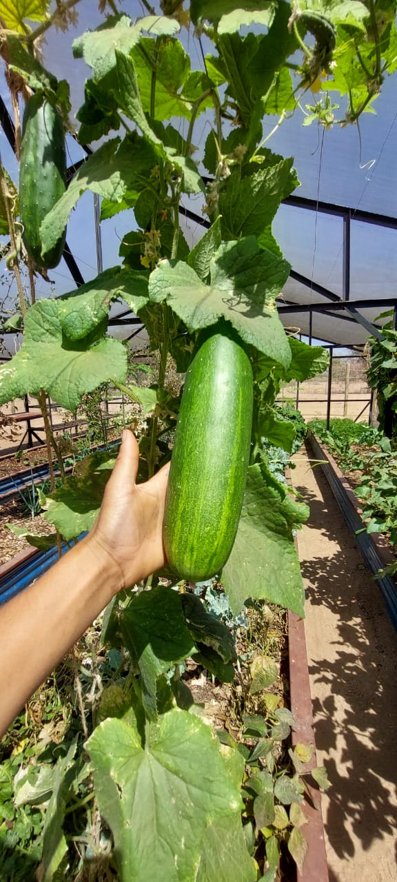 Whatsapp Image 2023 07 12 At 12.15.54