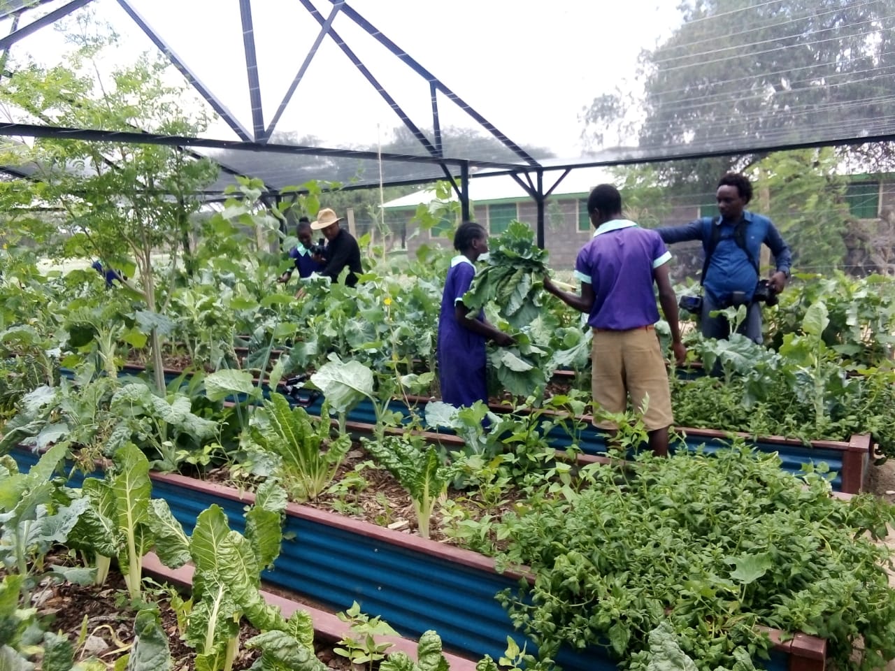 Whatsapp Image 2023 07 12 At 13.20.09