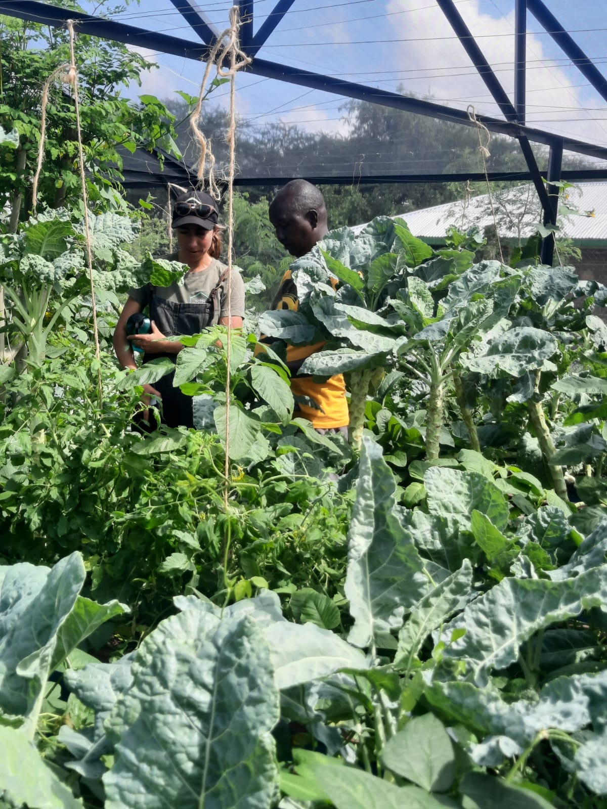 Whatsapp Image 2023 11 23 At 12.10.17