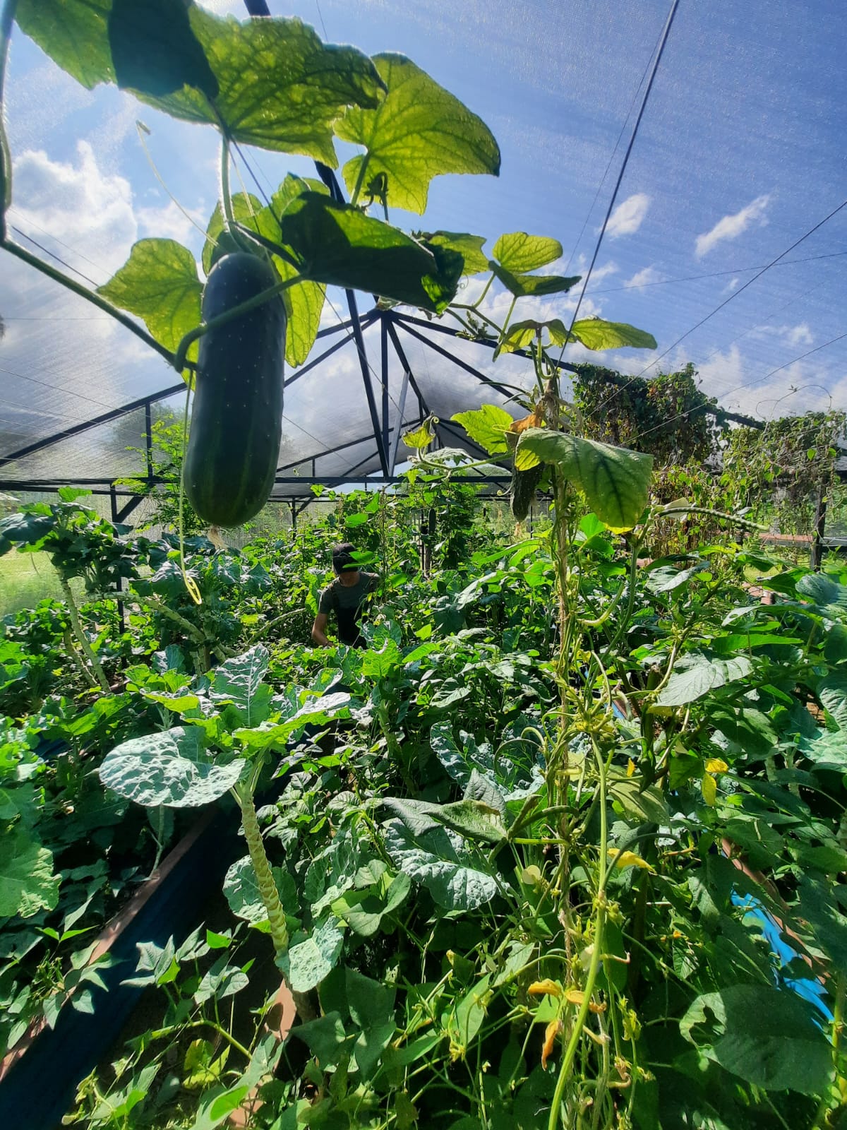 Whatsapp Image 2023 11 23 At 12.10.20