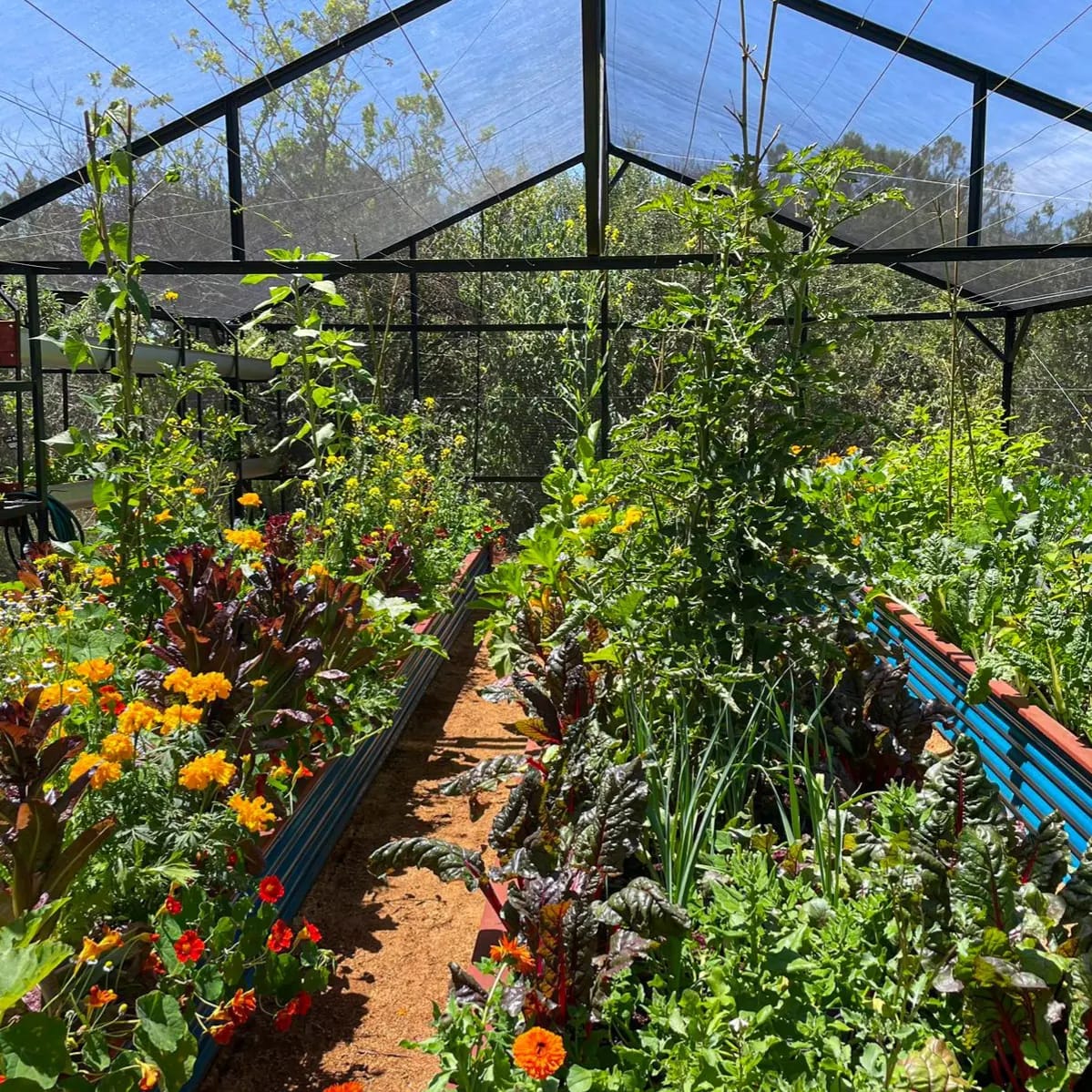 Whatsapp Image 2024 03 02 At 10.33.26 (1)