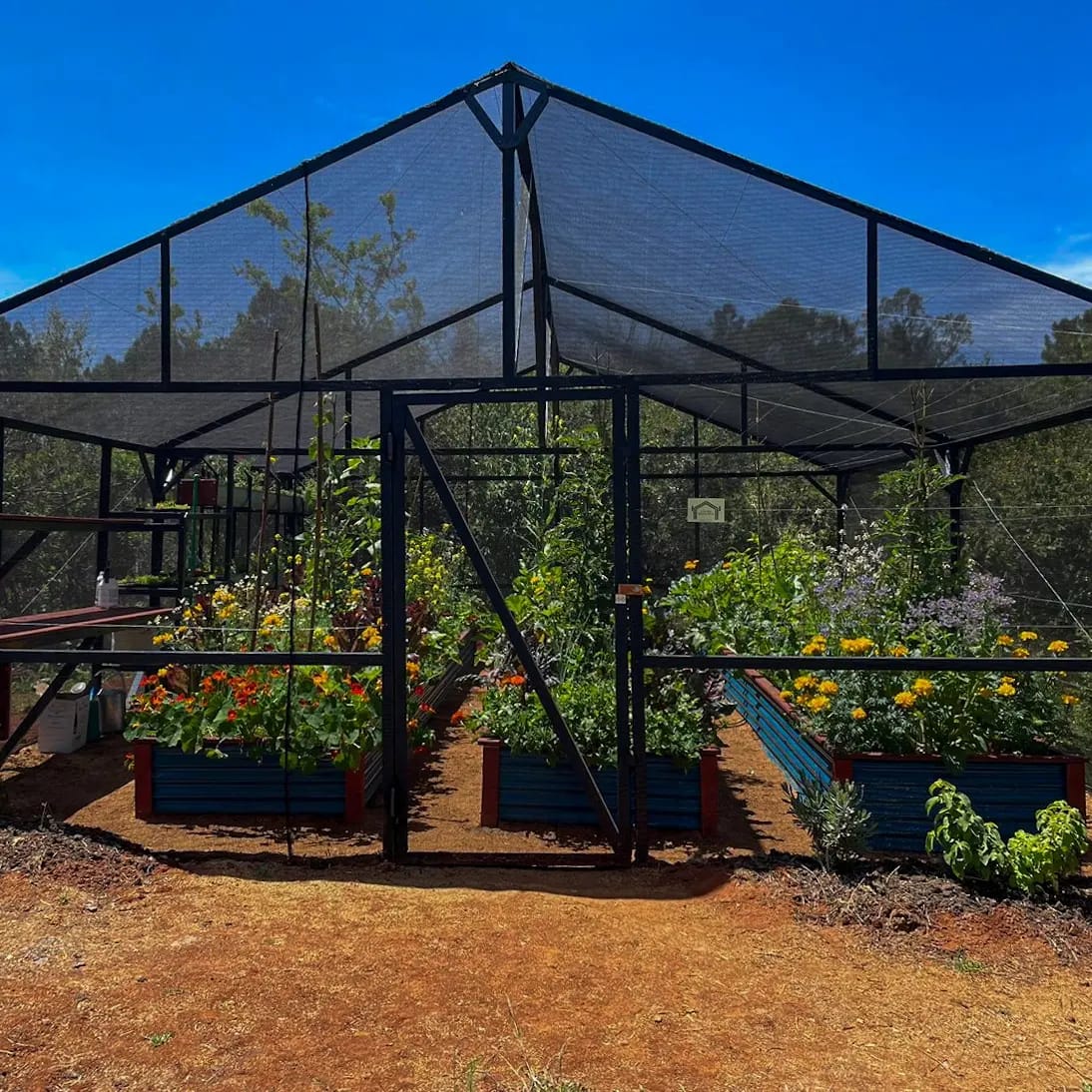 Whatsapp Image 2024 05 07 At 15.19.57