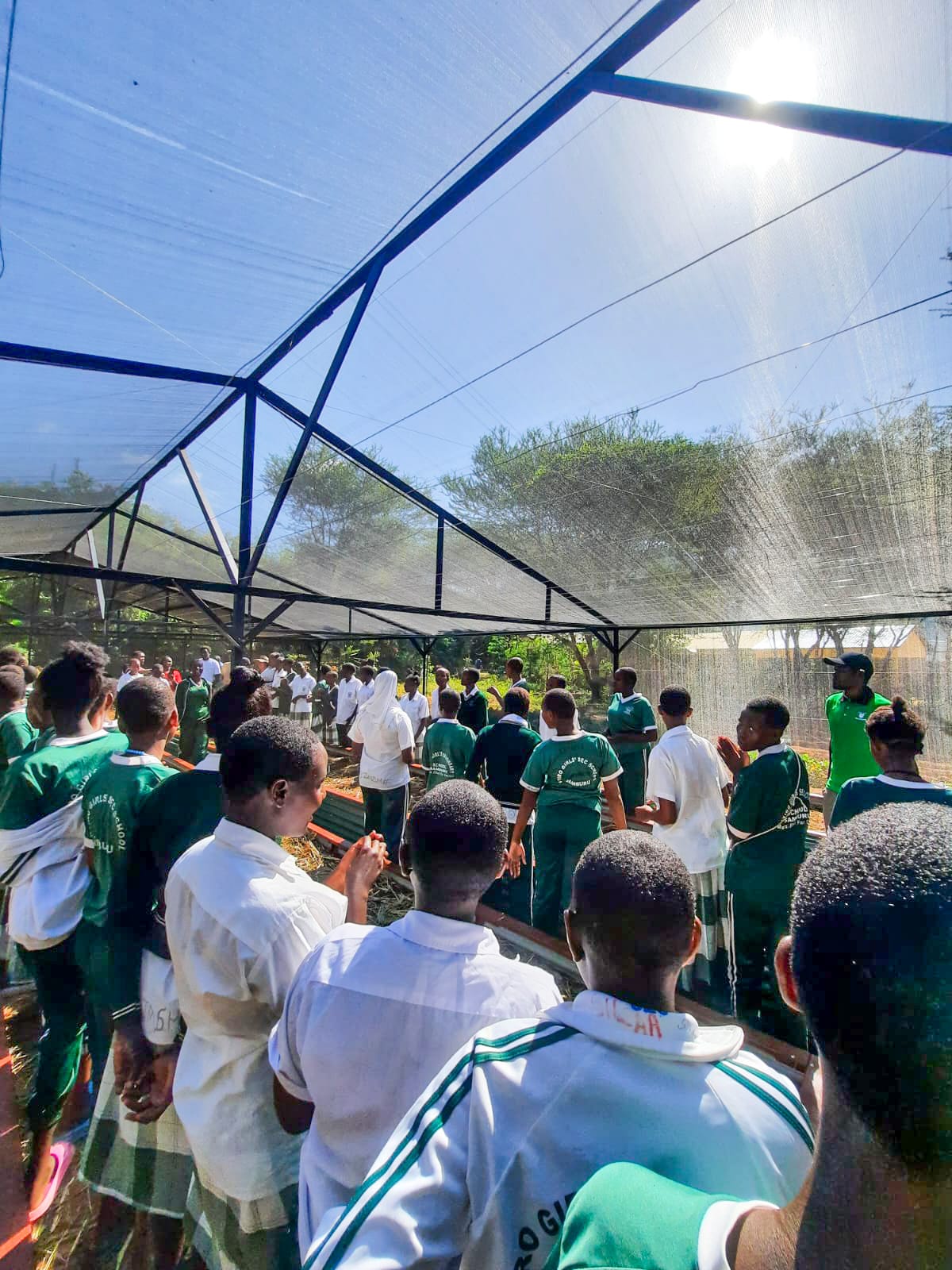 Whatsapp Image 2024 05 27 At 13.05.52