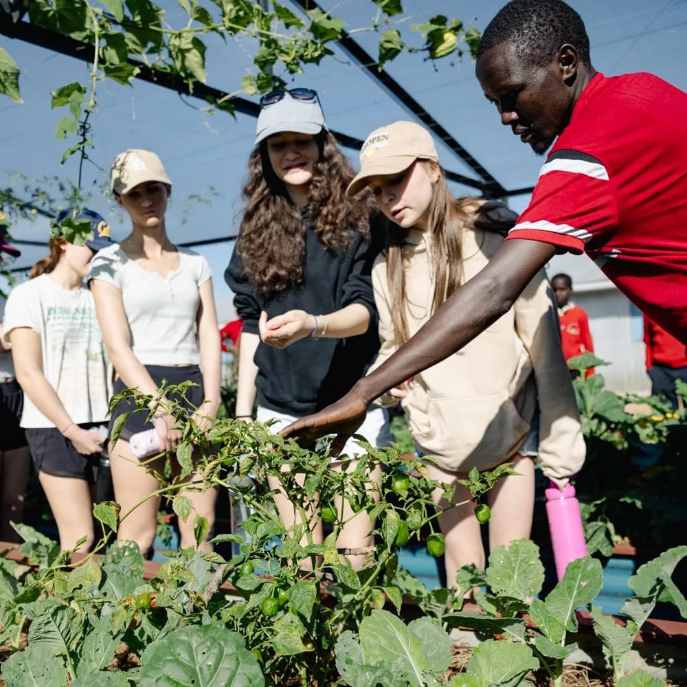 Whatsapp Image 2024 06 08 At 16.25.33