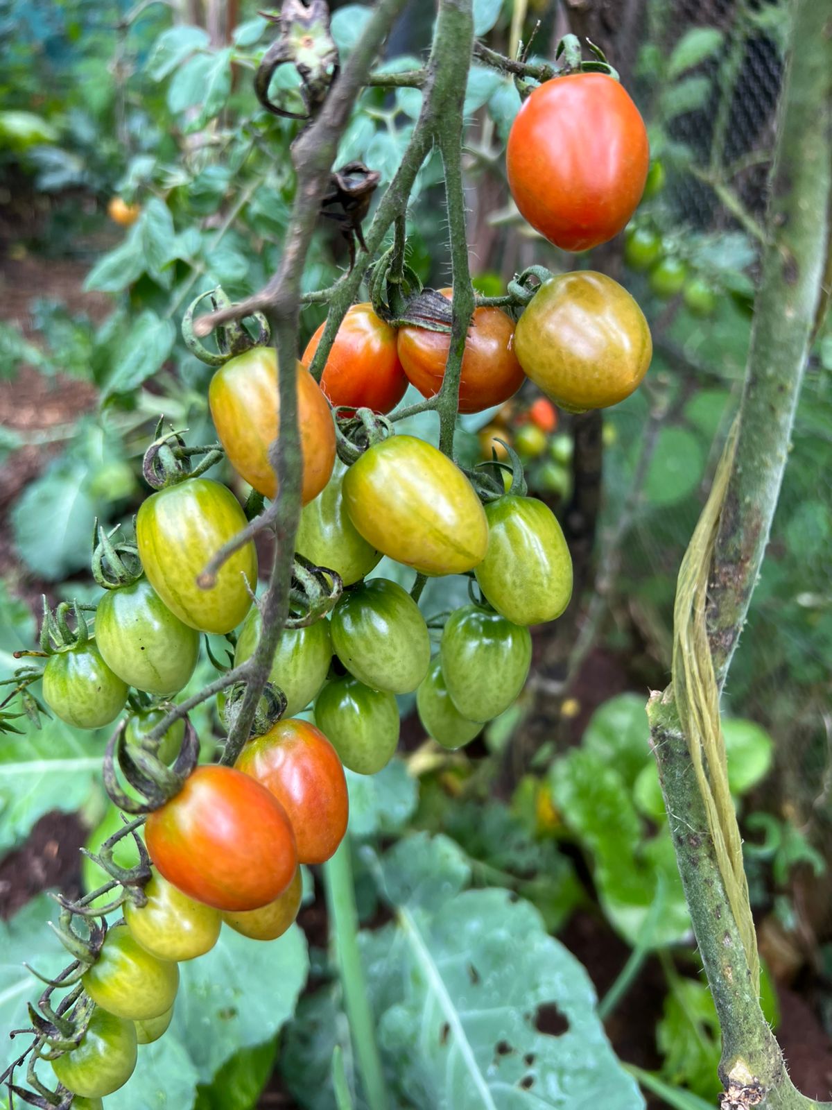 Whatsapp Image 2024 12 09 At 12.04.24