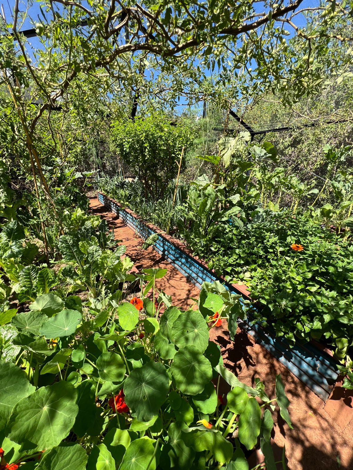 Whatsapp Image 2024 12 09 At 12.04.29