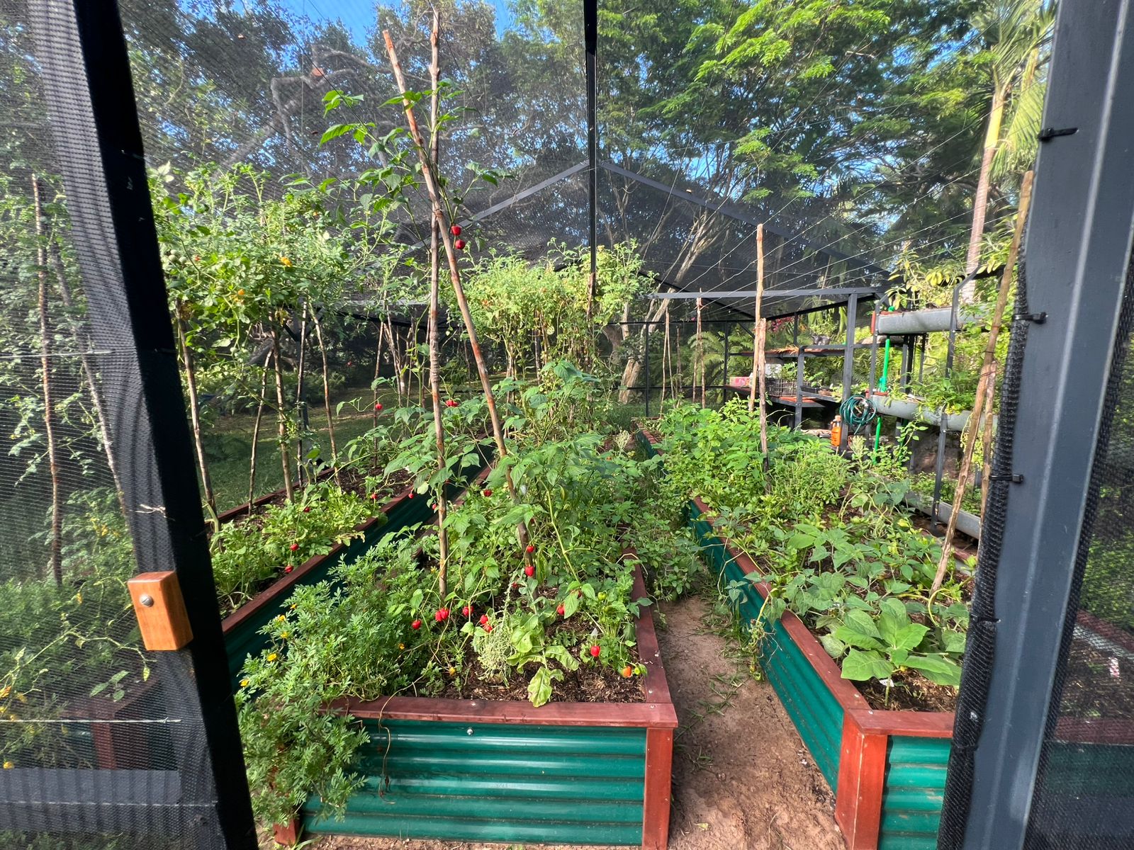 Whatsapp Image 2024 12 09 At 12.04.38