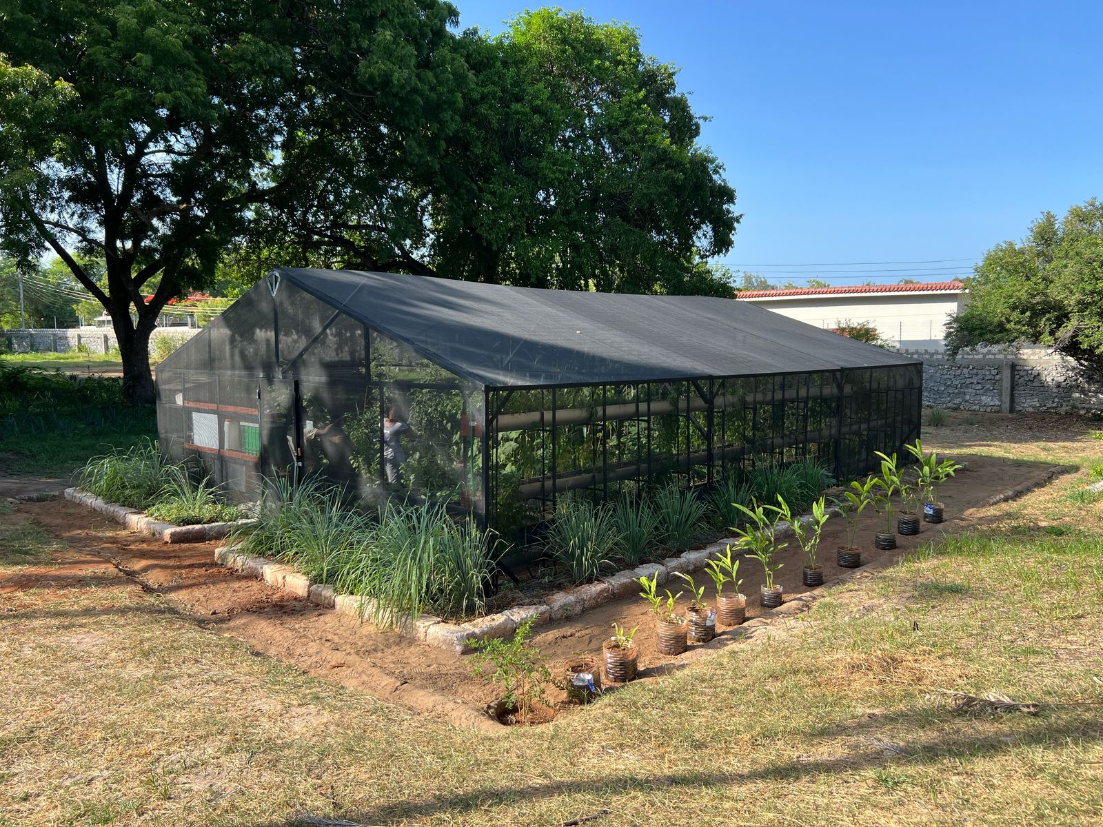 Whatsapp Image 2025 03 03 At 12.15.56