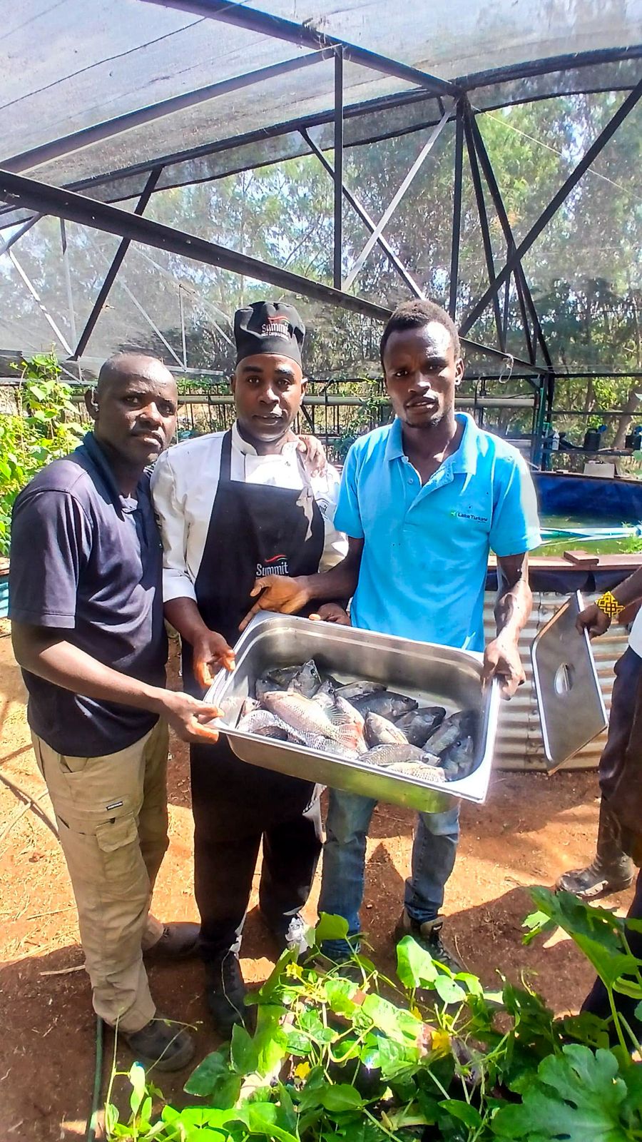 Whatsapp Image 2025 08 01 At 10.34.56