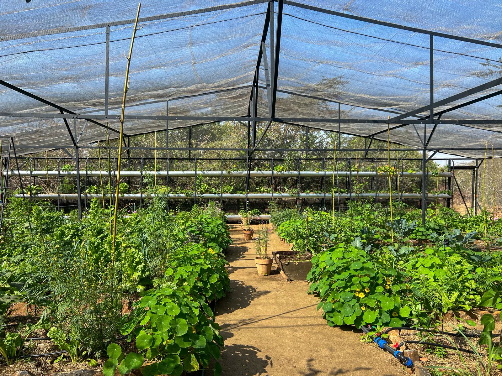 Whatsapp Image 2025 08 21 At 14.01.01 (1)