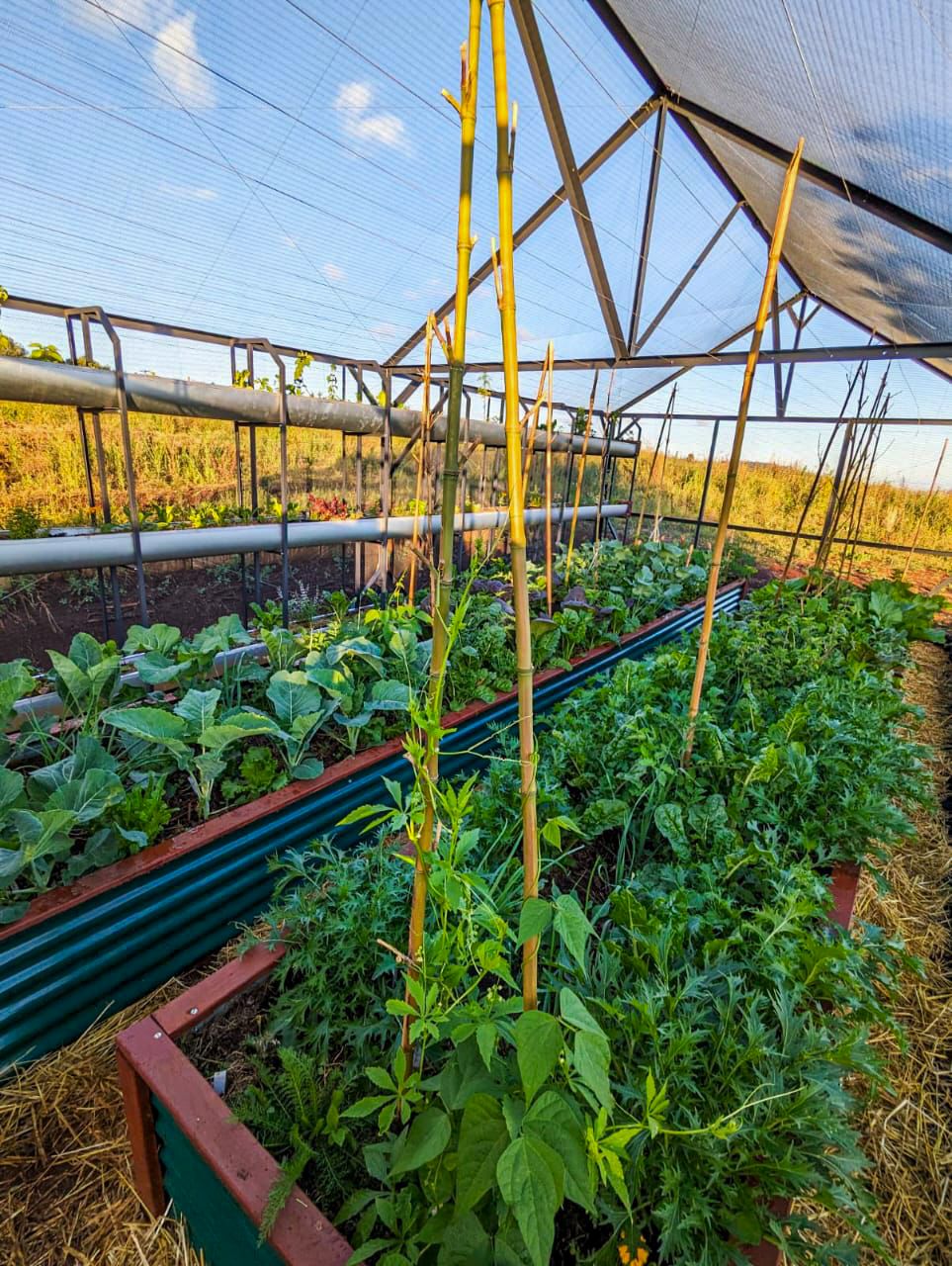 Whatsapp Image 2025 09 11 At 11.53.18