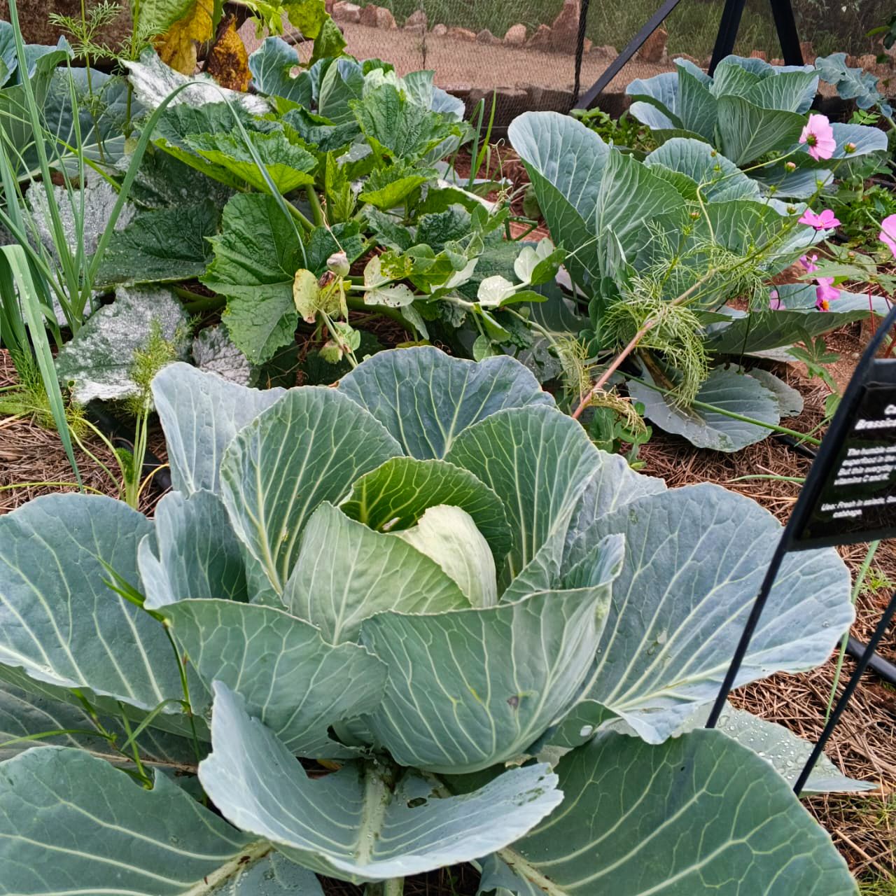 Whatsapp Image 2025 09 23 At 12.26.47