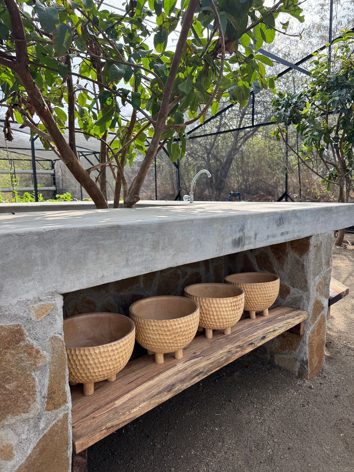 Whatsapp Image 2025 09 23 At 12.26.48