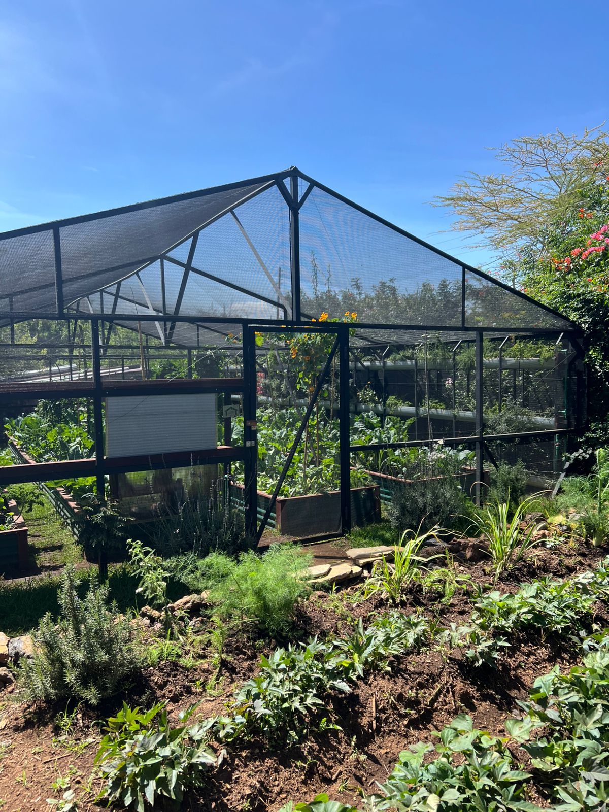 Whatsapp Image 2025 09 23 At 12.26.49