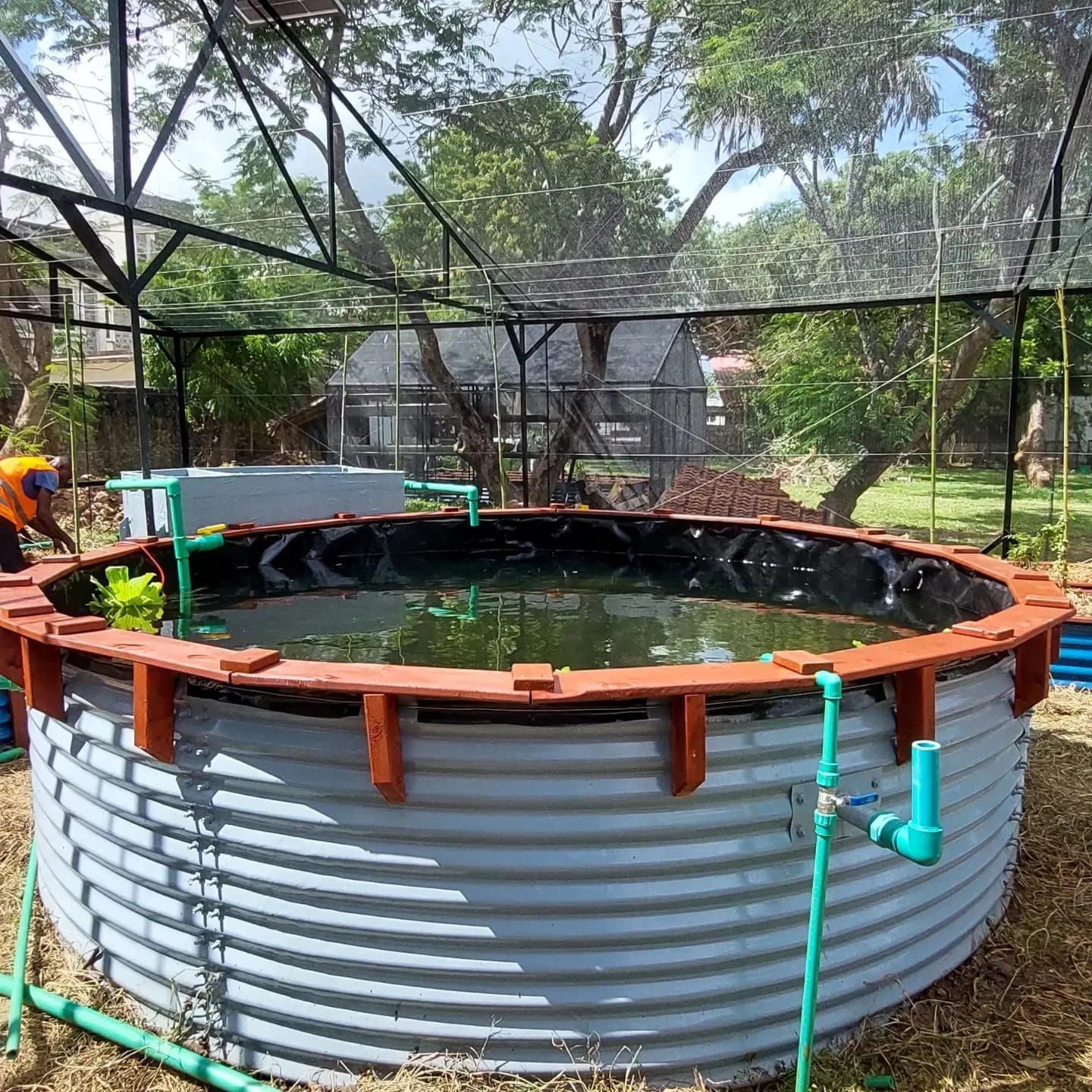 Whatsapp Image 2023 05 31 At 15.28.33