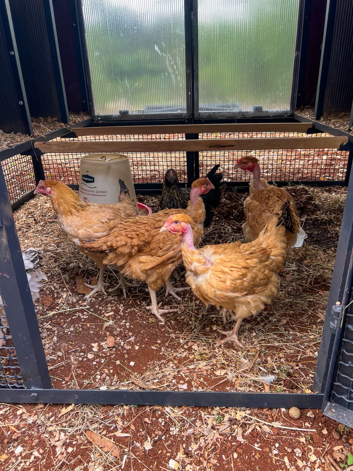 Whatsapp Image 2025 10 29 At 11.08.09